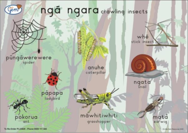 Crawling Insects Poster Maori-0