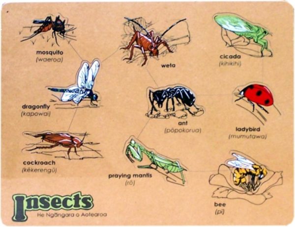 He Ngangara o Aotearoa Insects Puzzle (9pcs)-0