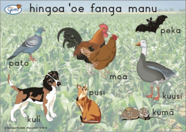 Backyard Animals Poster Tongan-0