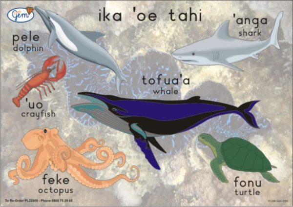 Big Fish Poster Tongan-0