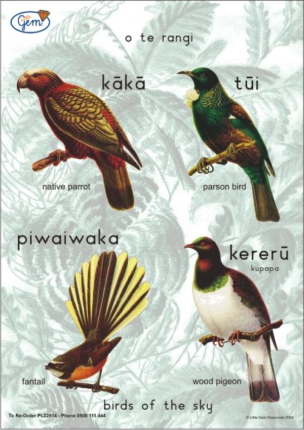 Birds of the Sky Poster Maori-0
