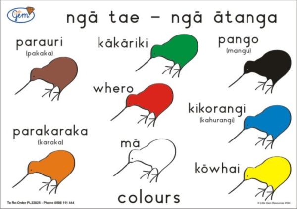 Colours Poster Maori-0