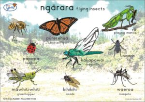 Flying Insects Poster Maori-0