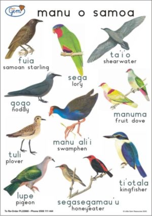 Birds of Samoa Poster-0