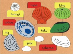 Shells Maori Puzzle (17pcs)-0