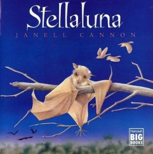 Stellaluna Big Book-0