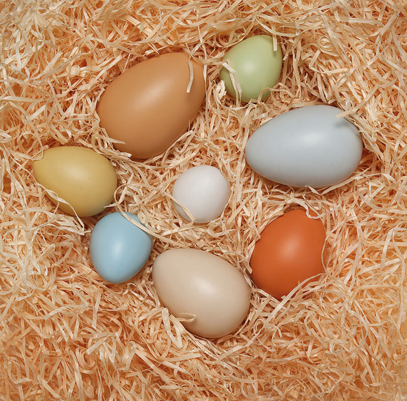 Size-Sorting Eggs (8pcs) - Image 3