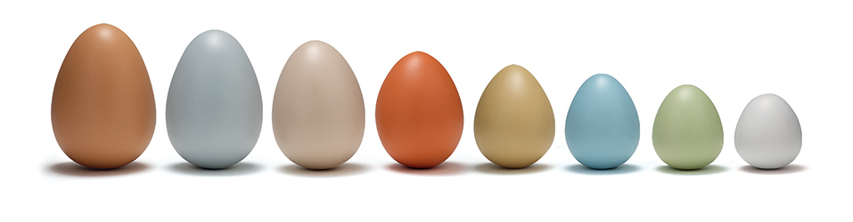 Size-Sorting Eggs (8pcs) - Image 5