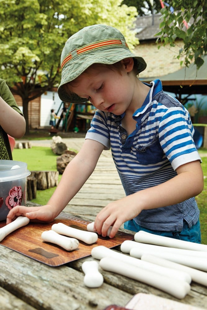 Dinosaur Bones Match and Measure Set (16pcs)-0
