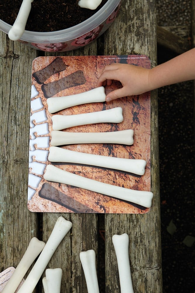 Dinosaur Bones Match and Measure Activity Cards (16pcs)-0