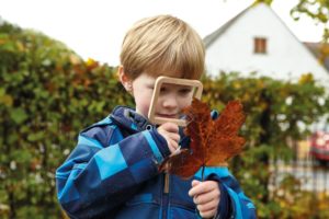 Natural Shape Viewers (5pcs)-0