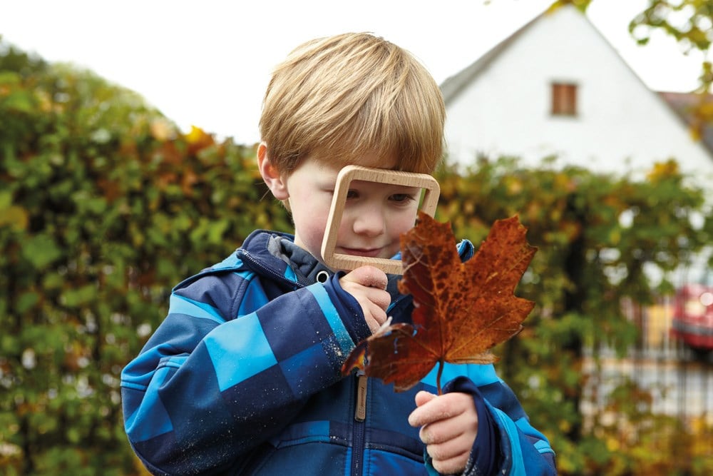 Natural Shape Viewers (5pcs)-0