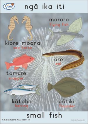 Small Fish Poster Maori