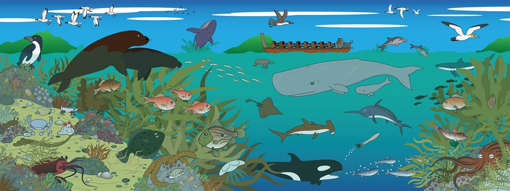 Aotearoa Moana Wall Panel