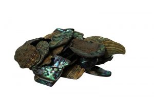 Large Paua Set 250gsm