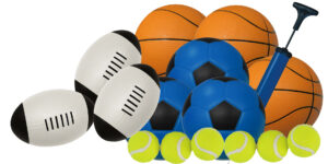 Large Sports Balls Set (16pcs)