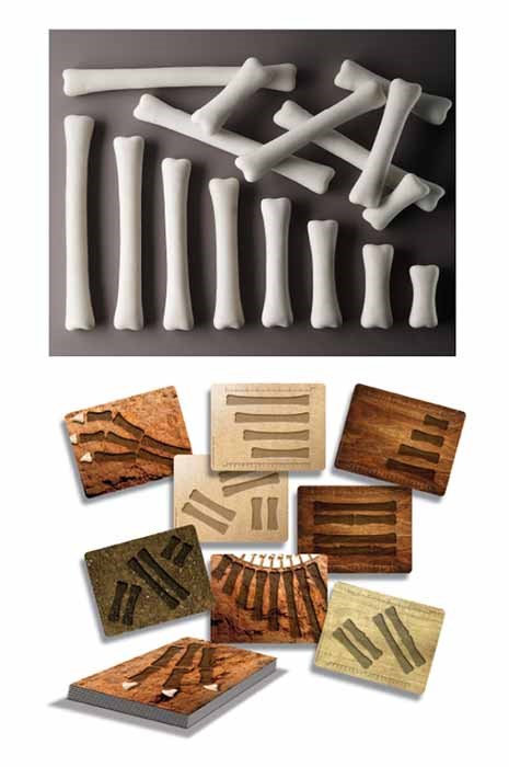 Dinosaur Measuring Bones & Activity Card Set (32pcs)