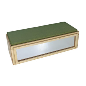 Bench Seat With Storage & Mirror