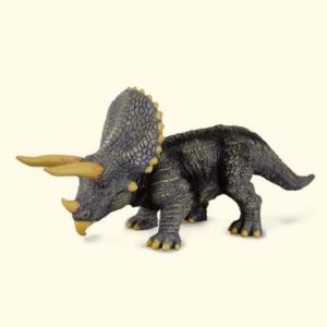 Triceratops Dinosaur