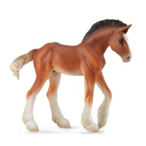 Clydesdale Foal Bay