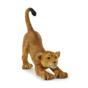 Lion Cub Stretching