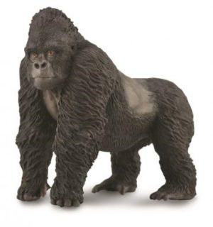 Mountain Gorilla