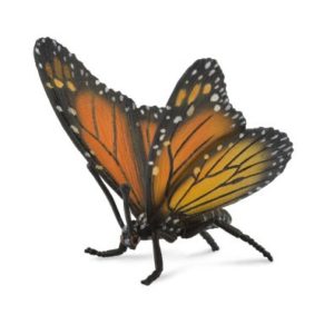 Monarch Butterfly