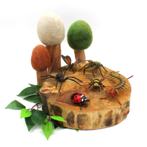 Insects Set (6pcs)