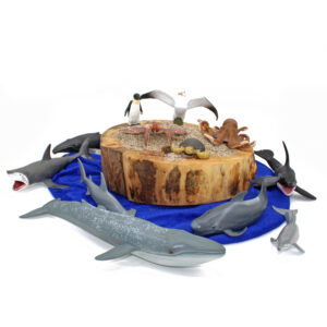 Ocean Animals Set (12pcs)