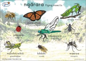 Flying Insects Poster Maori