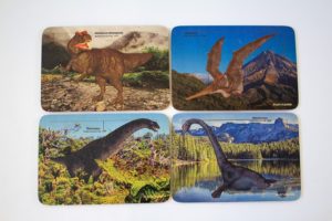Dinosaurs of Aotearoa Puzzle Set (4pcs)