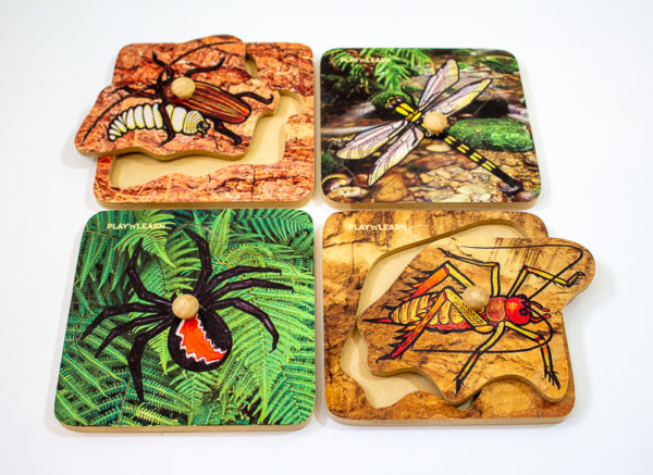 Insects of Aotearoa Knob Puzzle Set