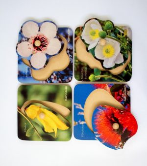 Plants of Aotearoa Knob Puzzle Set (4pcs)