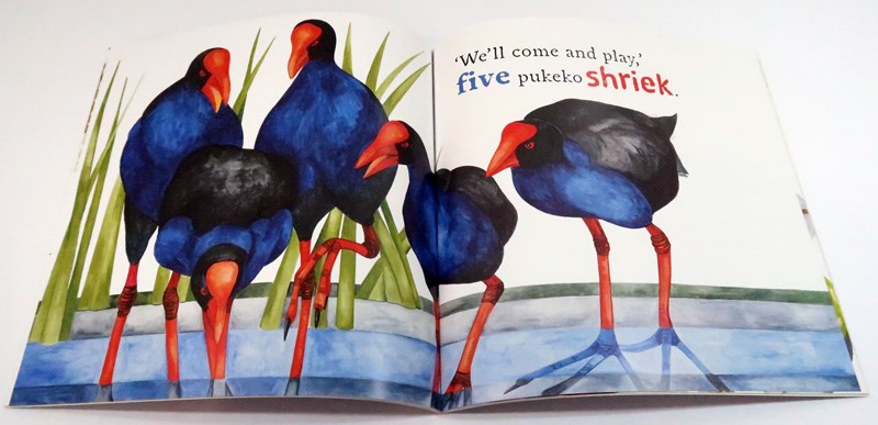 Kiwi Play with Me - Image 2
