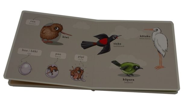 Picture Dictionary Board Book Set (6pcs) - Play‘n’Learn New Zealand