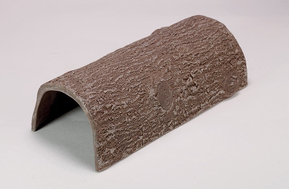 Hollow Log