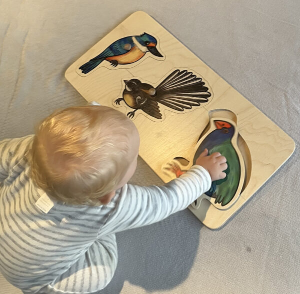 Knobbed Puzzles for Toddlers