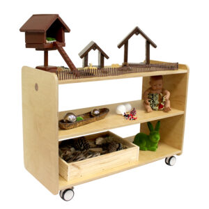 Preschool Shelf