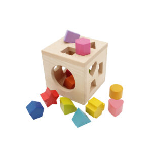 Toddler Posting Cube Shape Sorting