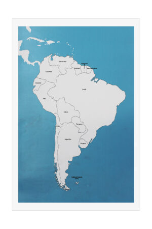 Puzzle Map of North America Control - Labelled