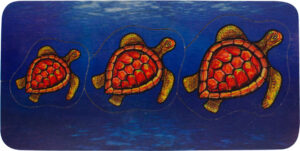 Turtles Seriation Puzzle