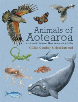 Animals of Aotearoa Hardback Book