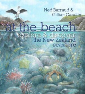 At The Beach Explore & Discover