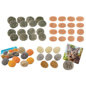 Let's Investigate Stone Set (40pcs)