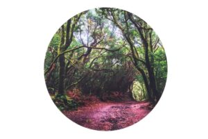 Forest Play Discovery Mat