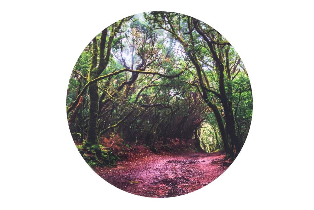 Forest Play Discovery Mat