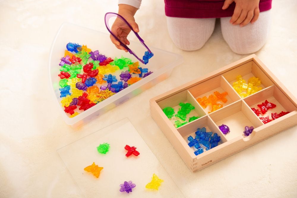 Segment Discovery Trays - Image 6