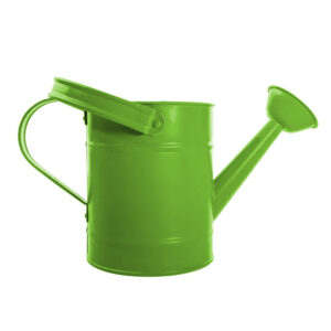 Watering Can 1.5 Litre