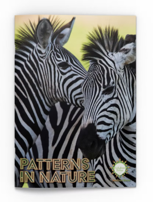 Patterns In Nature Big Book