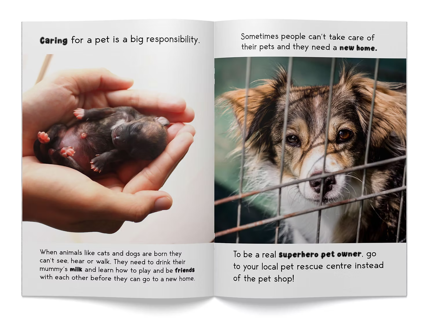 Caring for Animals Big Book - Image 2